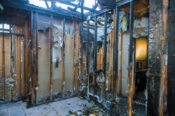 Professional Fire Damage Removal technician working in Bluemont, VA