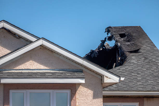 Top rated local Fire Damage Removal specialists in Bluemont, VA