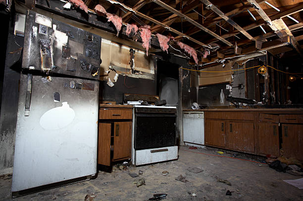 Licensed Fire Damage Removal service in Bluemont, VA - Fire Damage Flint